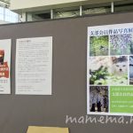 〔më〕北海道写真協会函館支部会員写真展に行ってきました!!