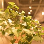 〔më〕無印良品PhotoWalkの生徒さんの作品のご紹介