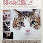 〔më〕にゃーにゃーにゃんこ展その3を見に行ってきました!!