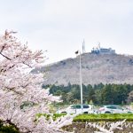 〔më〕桜撮影に行ってきました♬